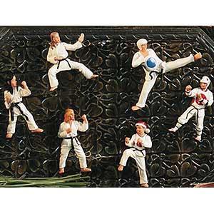 Martial Artist Magnet Sets